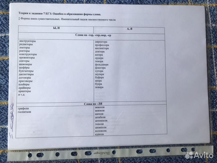 Теория фипи егэ русский язык 2023