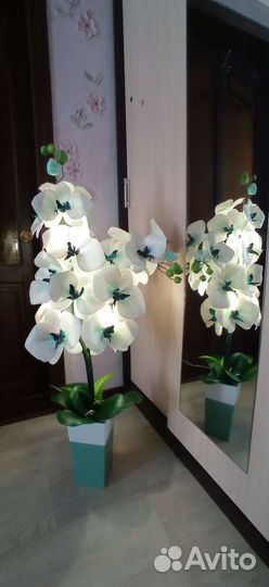 Орхидея