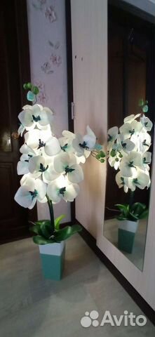 Орхидея