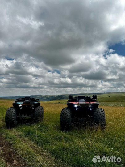 Тур на квадромонстрах