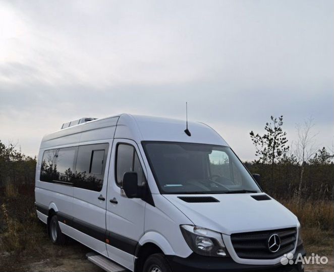 Пассажирские перевозки
