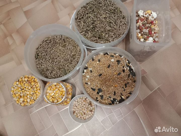 Корм для грызунов