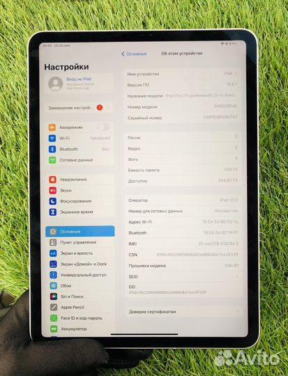 iPad pro 11 Wi-Fi + Cellular 256gb