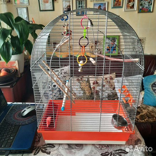 Клетка для попугая