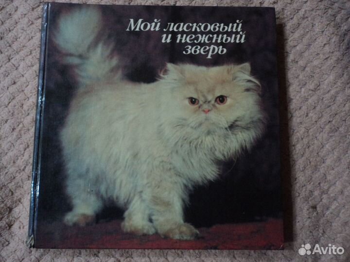 Мой ласковый и нежный зверь (1992).Кошки