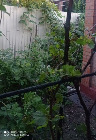 Участок 4 сот. (ИЖС)