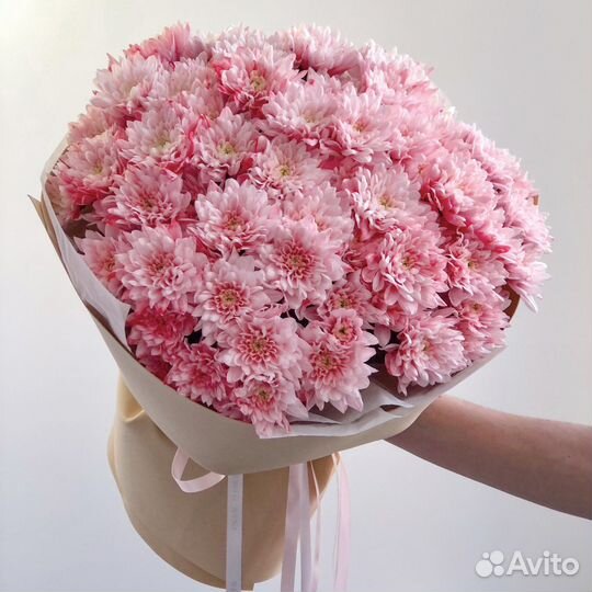 Хризантема