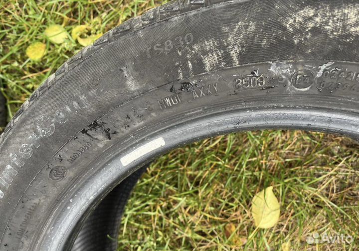 Continental ContiWinterContact TS 830 205/55 R16