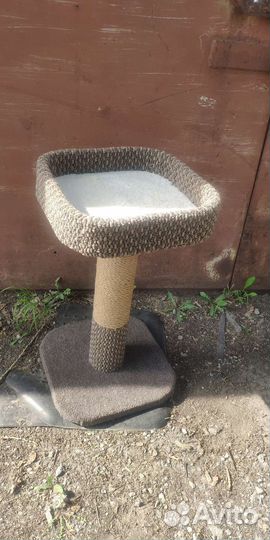 Когтеточка стойка с лежанкой для кошечки