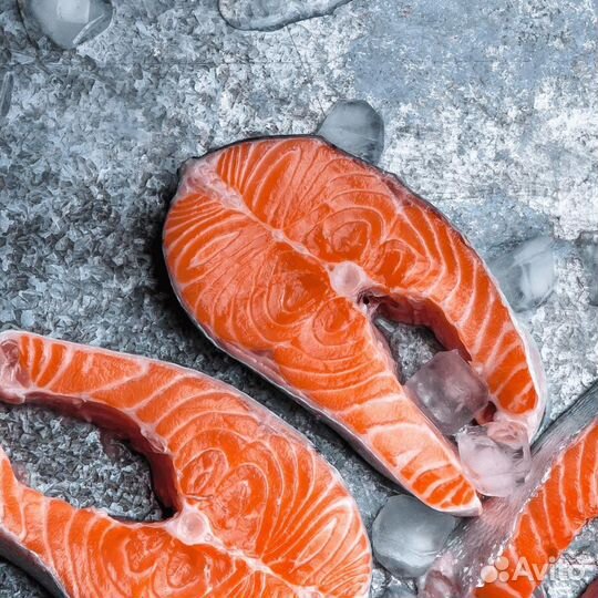 Семга (лосось)