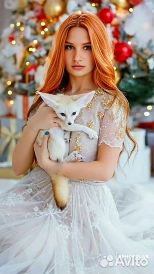 Видеомонтаж