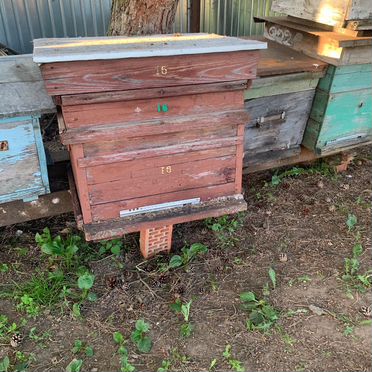 Продам ульи для пчел бу