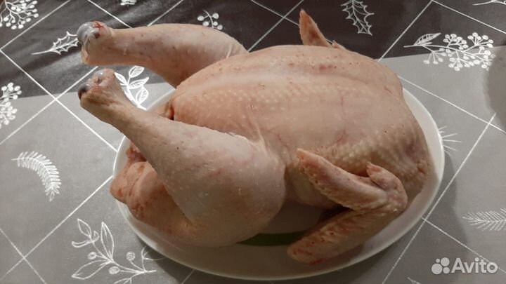 Домашние бройлеры халяль