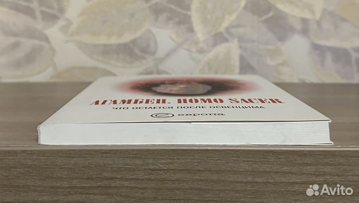 Джорджо Агамбен. Homo Sacer. Что остается после