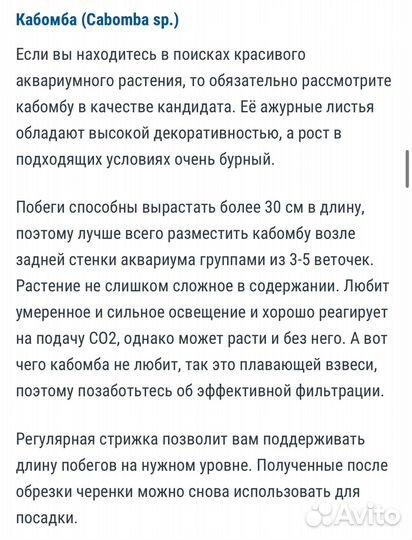 Мох и растения аквариумные