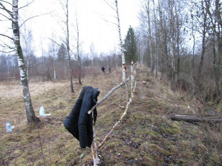 Участок 15 сот. (ИЖС)