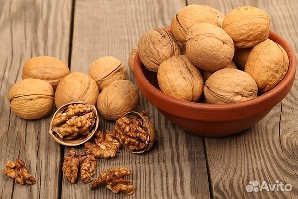 Саженцы грецкий орех