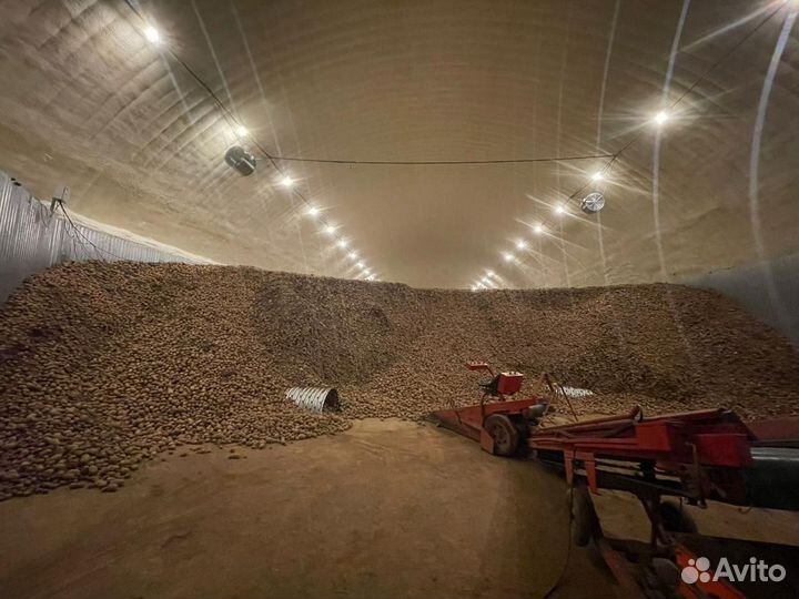 Продажа картофеля