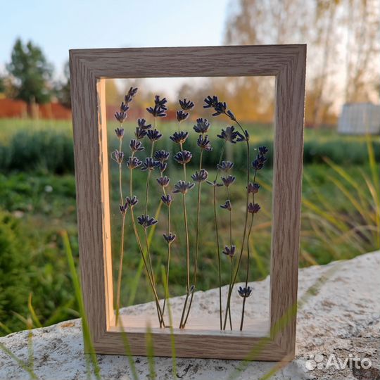 Гербарий (лаванда) в стекле
