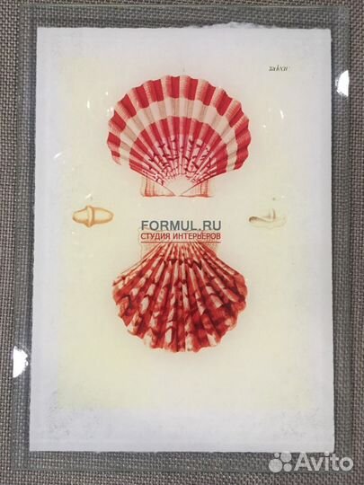 225777 Постер Авторская работа SHL 043