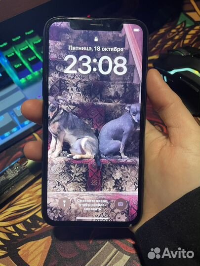 iPhone X, 256 ГБ