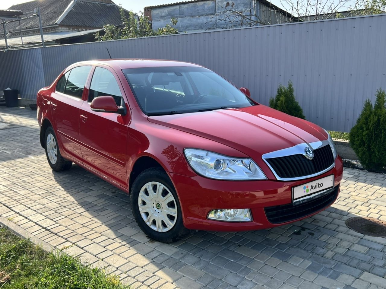 Skoda Octavia: фото владельца