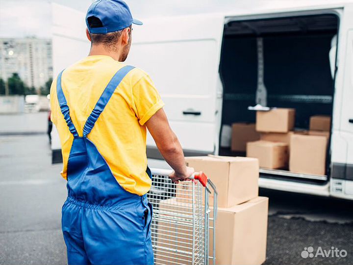 Грузчик в магазин
