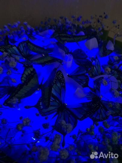 Букеты из бабочек