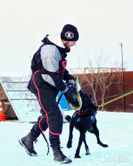 Кинолог. Инструктор по дрессировке. Фигурант