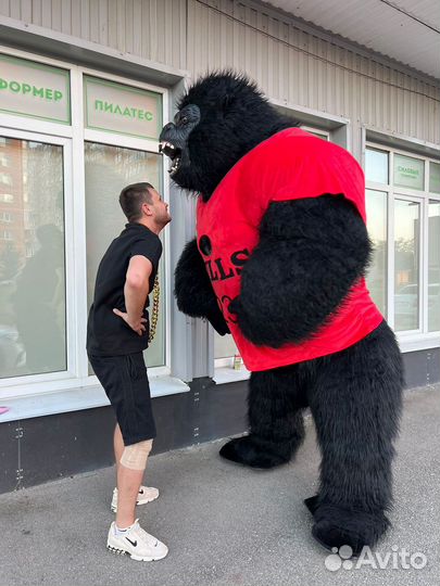 Поздравление для взрослых аниматор горила мишка