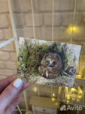 Мини-открытки новые разные