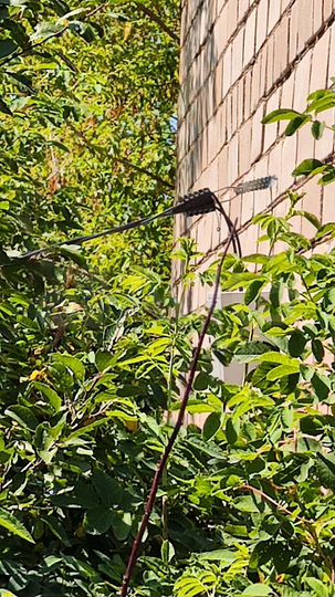 Участок 4 сот. (СНТ, ДНП)