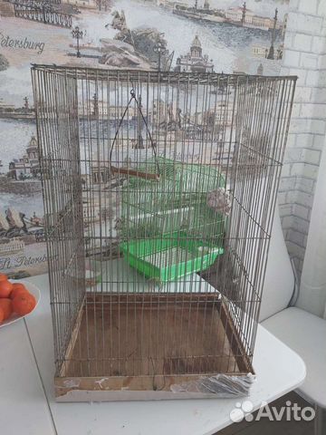Клетка для крупного попугая