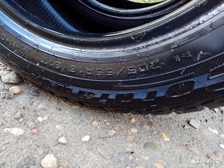 Cordiant Polar 2 205/55 R16