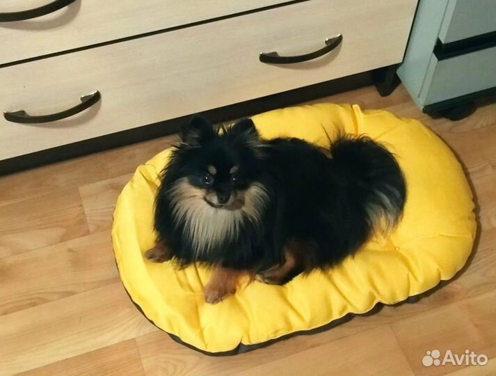 Новые Лежаки для собак/котов 