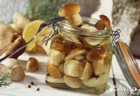 Маринованные белые грибы 0.5 л в розницу и оптом