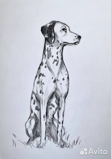 Портрет домашнего питомца по фото