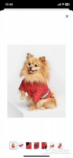 Дождевик - куртка для собак