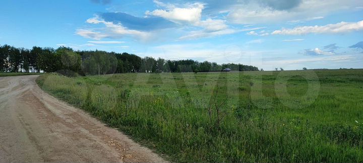 Участок 13 сот. (СНТ, ДНП)