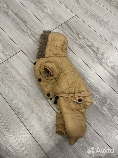 Зимний комбинезон для собаки