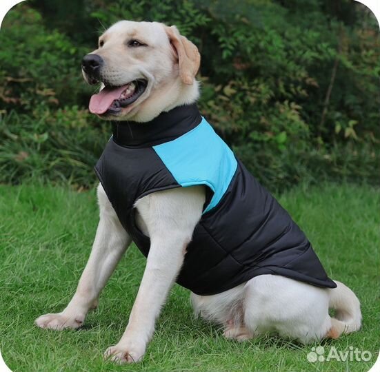 Зимняя куртка для небольшой собаки