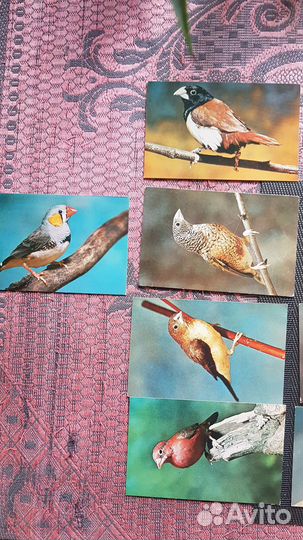 Открытки СССР 