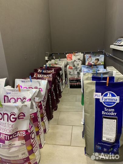 Корм для кошек и собак
