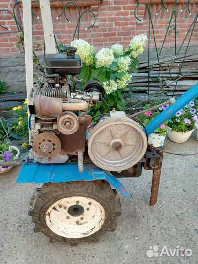 Мотоблоки и культиваторы