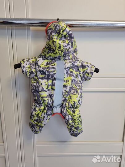 Курточка для чихуахуа и шлейка