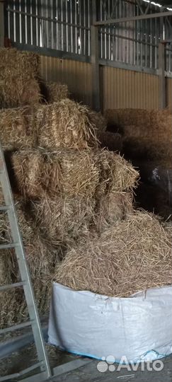 Солома в тюках из люцерны