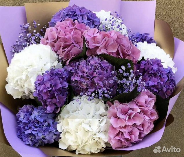 Букет цветов Гортензия Доставка цветов Цветы Букет