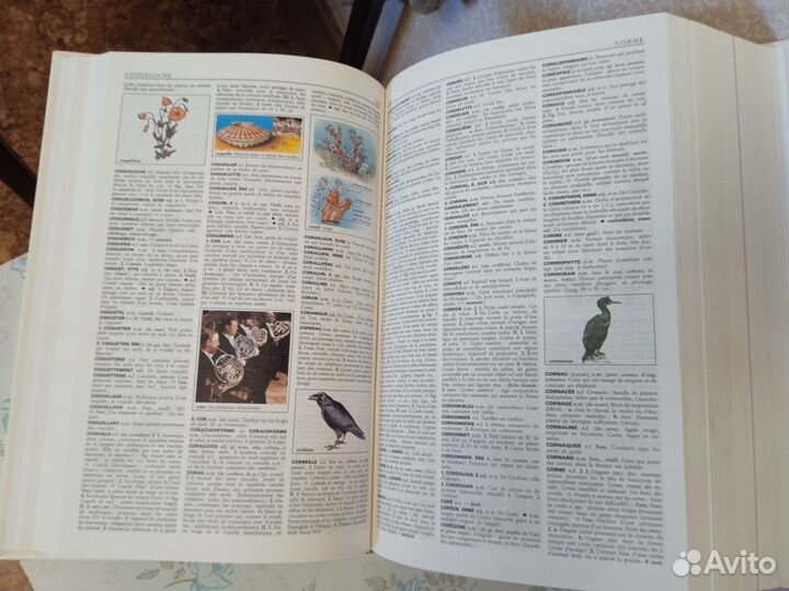 Справочник французских слов и словари французского