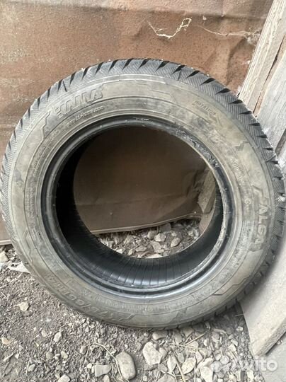 КАМА Alga (HK-531) 175/65 R14