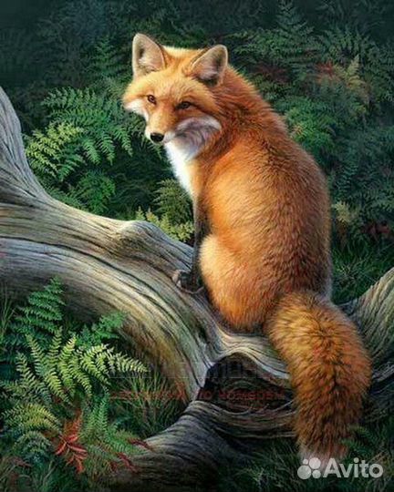 Алмазная мозаика 40x50 Пушистая лиса среди папорот